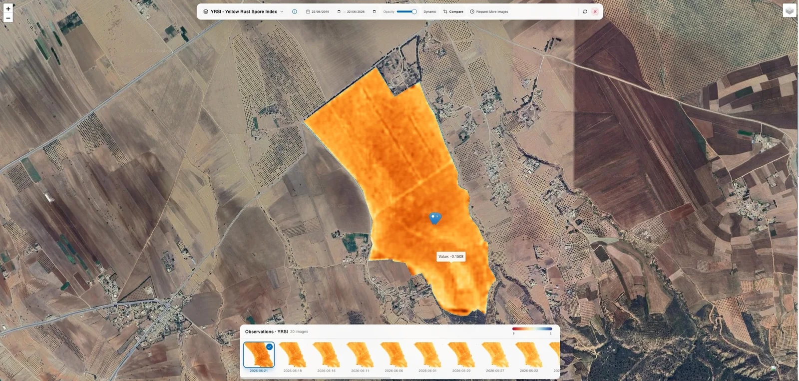 Détection de la rouille jaune du blé via l'index satellite YRSI
