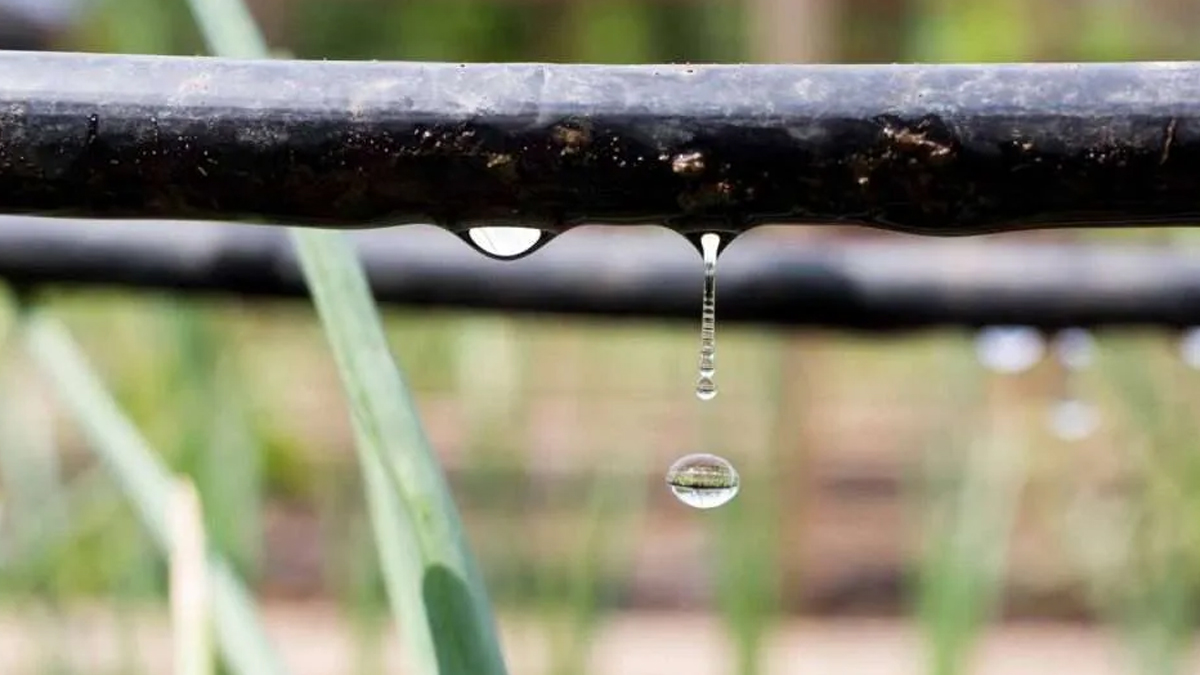 Calcul de la dose d’irrigation : comment faire ?