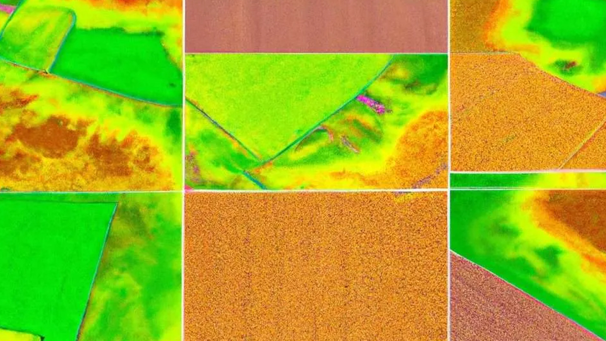 L’imagerie satellite en agriculture : comprendre les différents indices et analyser mes apports