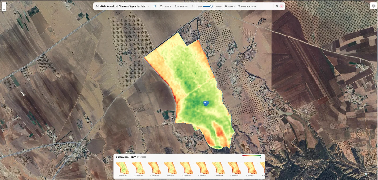 Aperçu du zoning satellite NDVI sur une parcelle réelle