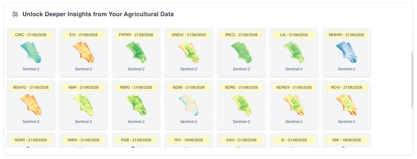 Catalogue d'indices satellites Sentinel-2 (CWC, EVI, FAPAR, GNDVI, IRECI, LAI, NDRE, NDVI, etc.) calculés sur une parcelle réelle
