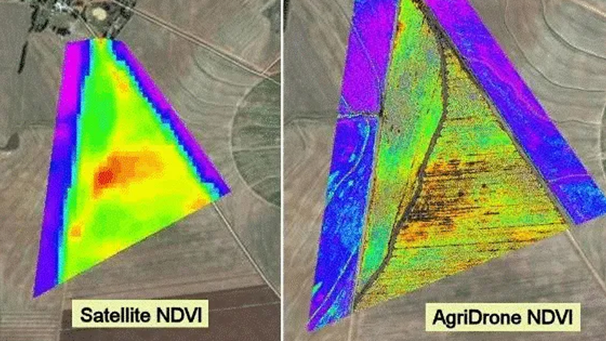 Drone agricole vs images satellites : la télédétection au service de l’agriculture de précision