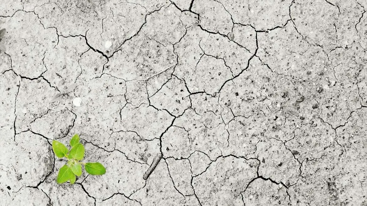 Le changement climatique met à rude épreuve les systèmes d’irrigation : défis et solutions