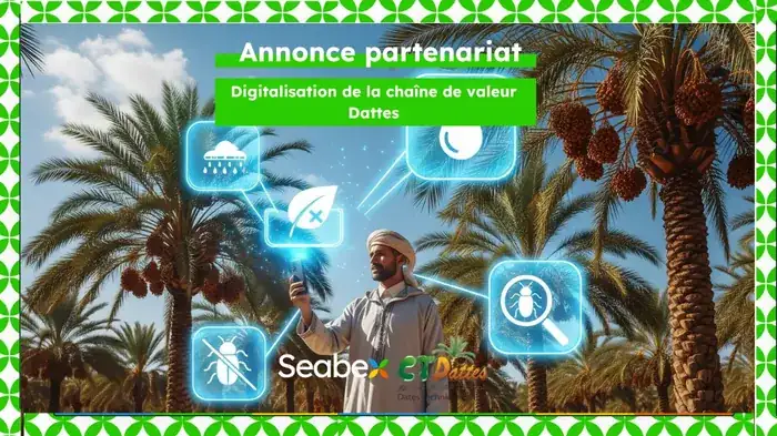 Seabex et le Centre Technique des Dattes unissent leurs forces pour digitaliser la culture du palmier dattier