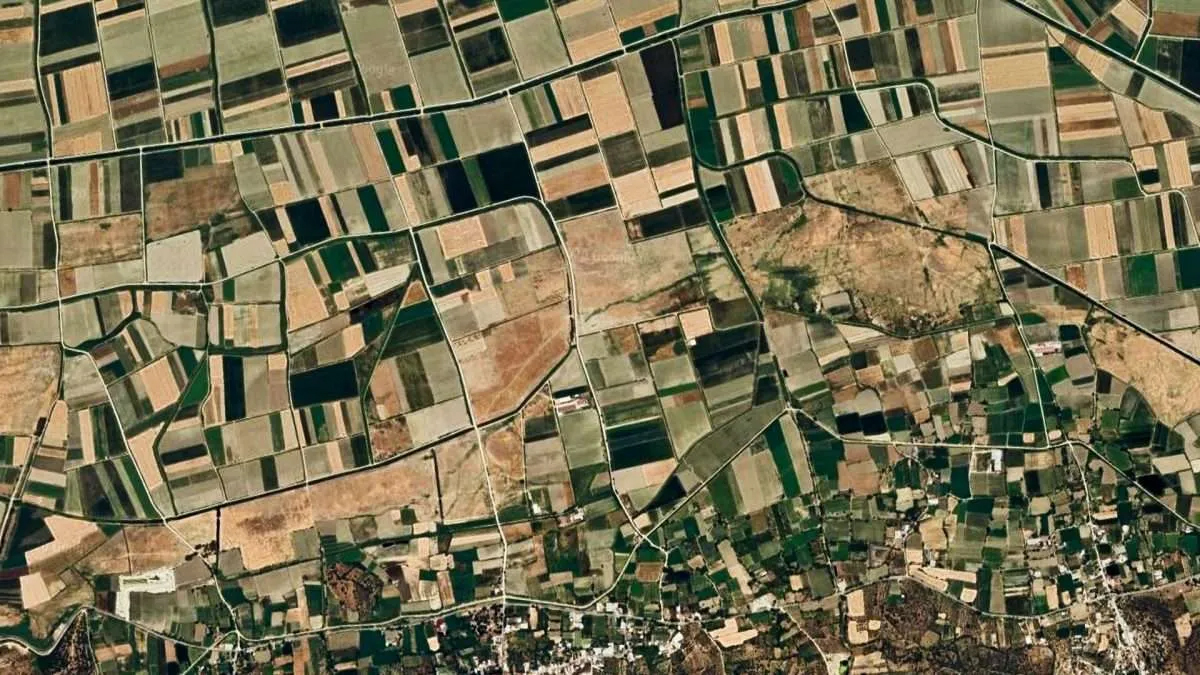 Comment les images satellites contribuent à une agriculture durable : les chiffres en témoignent